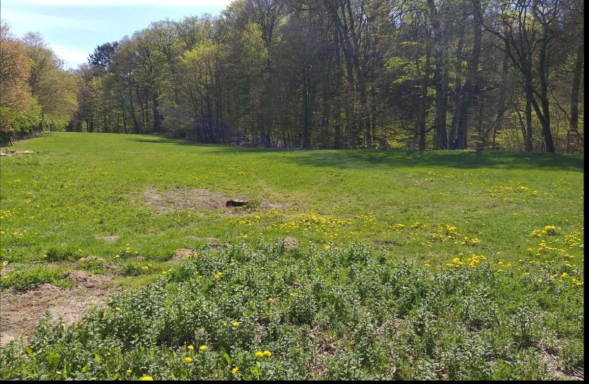  Land in Duchy of Lauenburg, Germany No. 225057