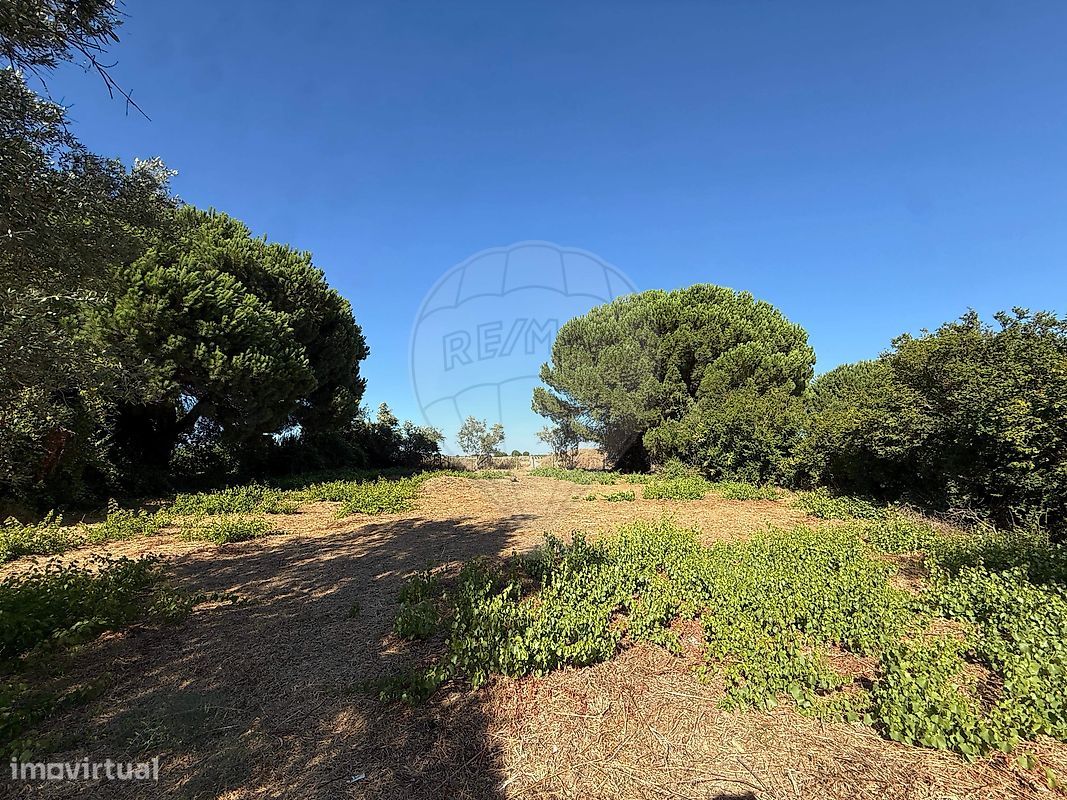 1288m² Land in Palmela, Portugal No. 280689
