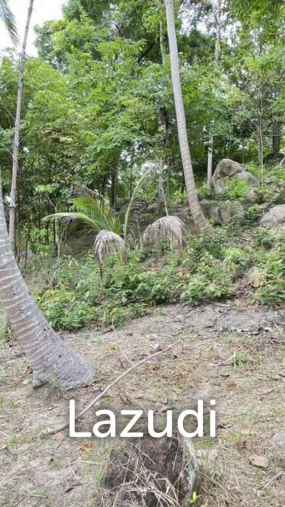  Commercial property in Surat Thani, Thailand No. 24814