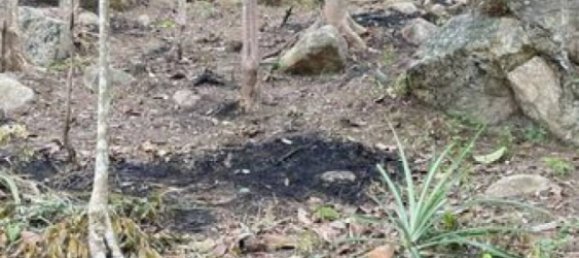  Commercial property in Surat Thani, Thailand No. 24814 5