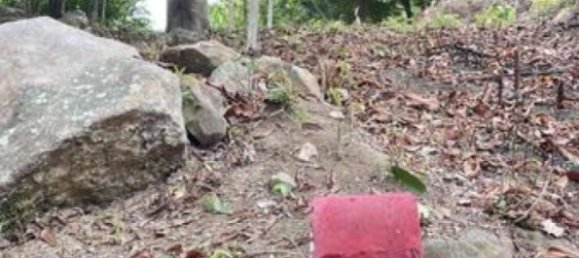  Commercial property in Surat Thani, Thailand No. 24814 6