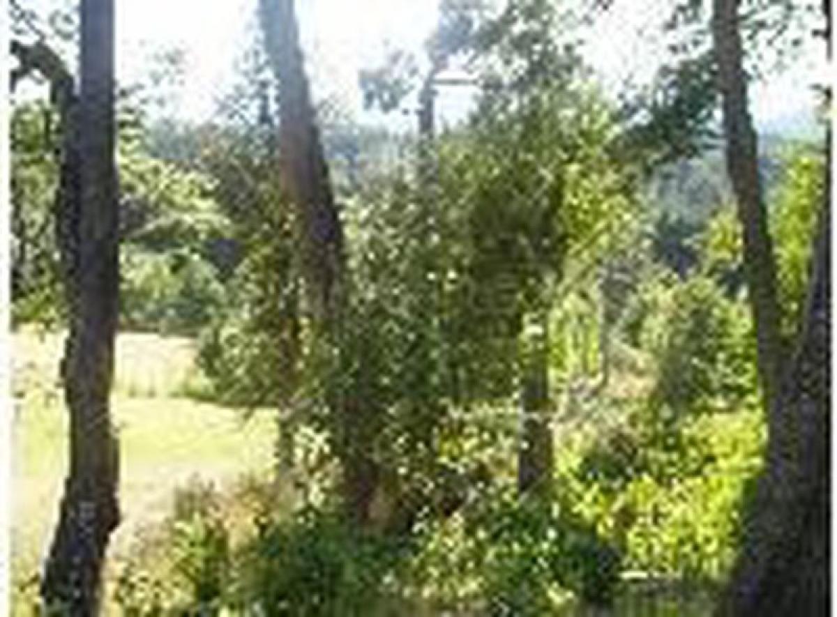 Terreno em Neuquen, Argentina N.º 32271