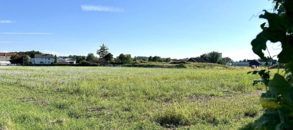 Таунхаус с 4 комнатами в Вельс, Австрия № 230901 23