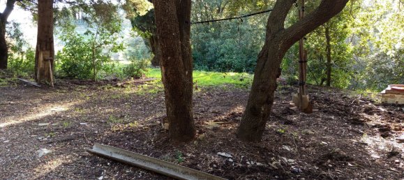 1225m² Land in Livorno, Italy No. 184472 17