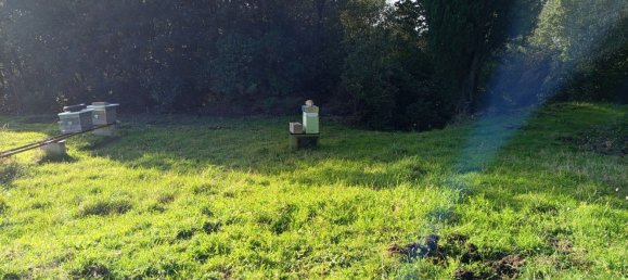 1225m² Land in Livorno, Italy No. 184472 10