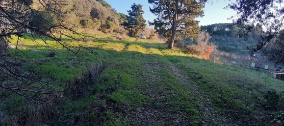 1225m² Land in Livorno, Italy No. 184472 3