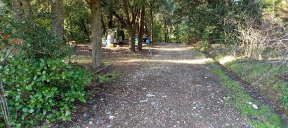 1225m² Land in Livorno, Italy No. 184472 8