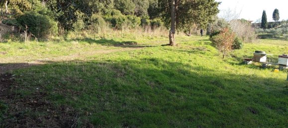 1225m² Land in Livorno, Italy No. 184472 11