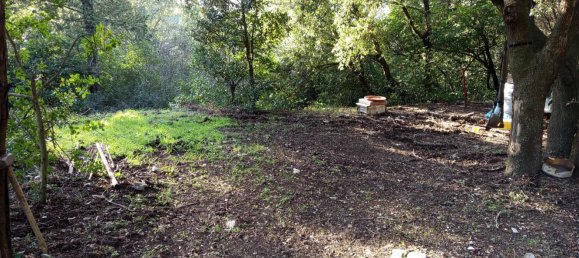 1225m² Land in Livorno, Italy No. 184472 7