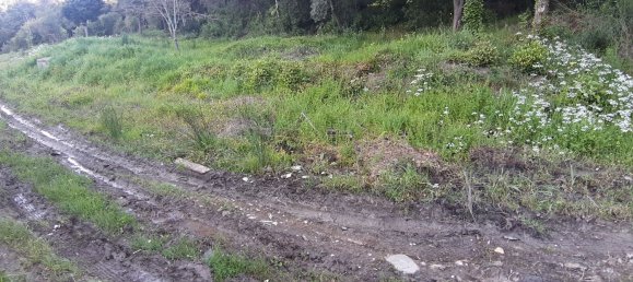 1225m² Land in Livorno, Italy No. 184472 2