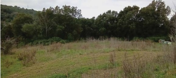 1225m² Land in Livorno, Italy No. 184472 6