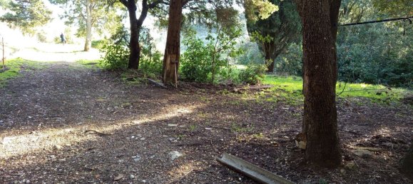 1225m² Land in Livorno, Italy No. 184472 16