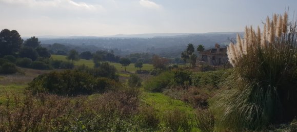 Земельный участок в Кадис, Испания № 204542 8