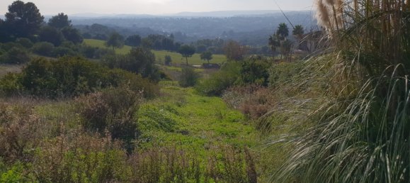 Земельный участок в Кадис, Испания № 204542 6