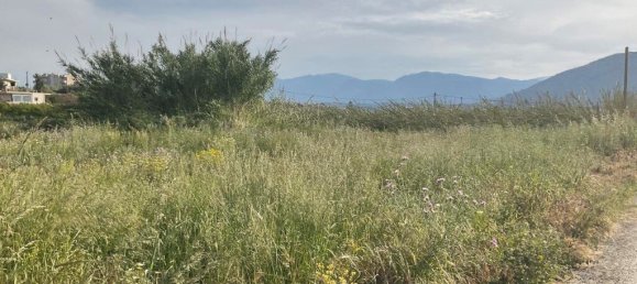 2500m² Hotel in Gazi, Greece No. 3638 2