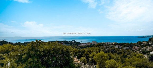 4 bedrooms Villa in Costa D'en Blanes, Spain No. 161761 54