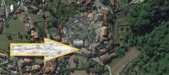 10 bedrooms House in Tondela, Portugal No. 164521 14