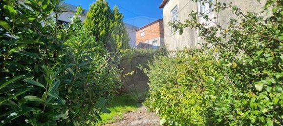 10 bedrooms House in Tondela, Portugal No. 164521 11