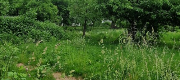 Casa de 5 divisões em Gotzis, Austria N.º 174298 4