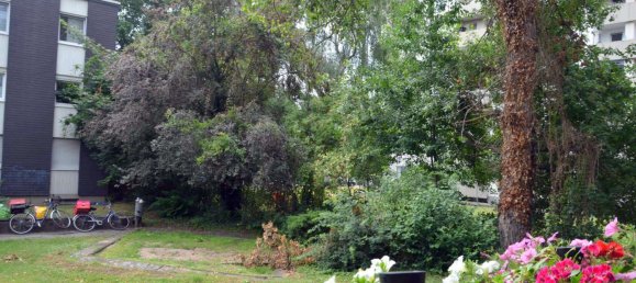 3 bedrooms Apartment in Cologne, Germany No. 237122 13