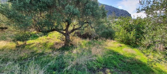 4000m² hôtel à vendre à Hersonissos, Heraklion, Crete, Greece № 3771 4