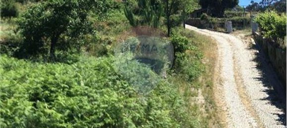 2 bedrooms House in Marco de Canaveses, Portugal No. 184002 17