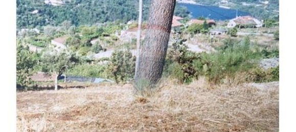 2 bedrooms House in Marco de Canaveses, Portugal No. 184002 6