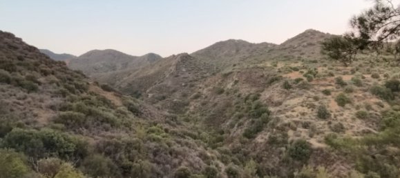 11039m² terrain à vendre à Pano Lefkara, Larnaka, Cyprus № 181261 5