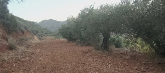 11039m² terrain à vendre à Pano Lefkara, Larnaka, Cyprus № 181261 7