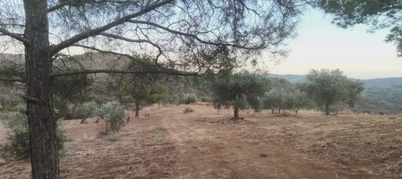 11039m² terrain à vendre à Pano Lefkara, Larnaka, Cyprus № 181261 10