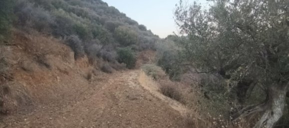 11039m² terrain à vendre à Pano Lefkara, Larnaka, Cyprus № 181261 6
