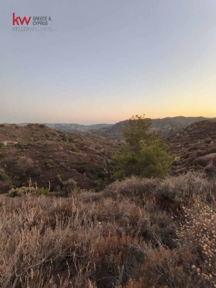 11039m² terrain à vendre à Pano Lefkara, Larnaka, Cyprus № 181261