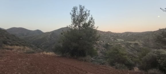 11039m² terrain à vendre à Pano Lefkara, Larnaka, Cyprus № 181261 11