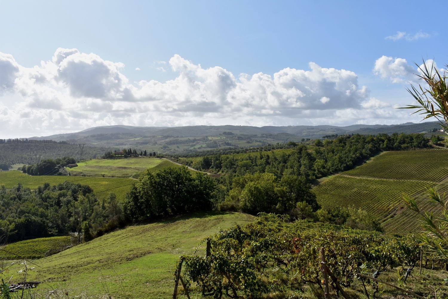 15-Zimmer Haus in Gambassi Terme, Italy, Nr. 161804