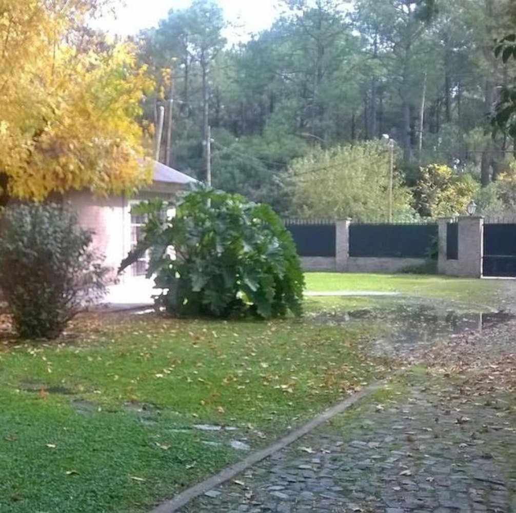  Land in Corrientes, Argentina No. 47951