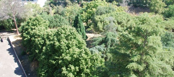 5 rooms Apartment in Rome, Italy No. 46816 15