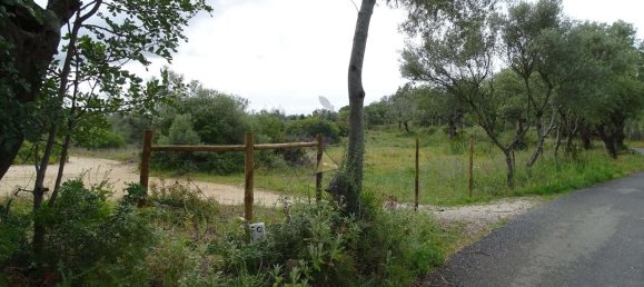 8471m² Land in Almancil, Portugal No. 88542 16