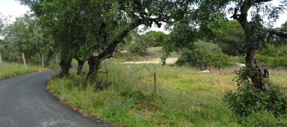 8471m² Land in Almancil, Portugal No. 88542 14