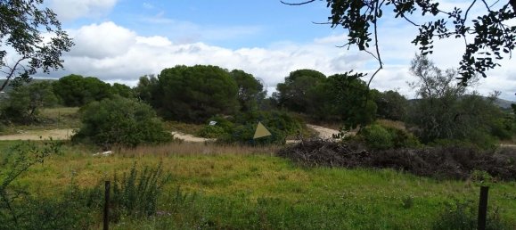 8471m² Land in Almancil, Portugal No. 88542 17