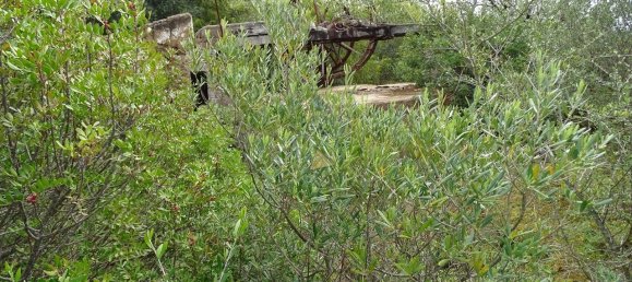 8471m² Land in Almancil, Portugal No. 88542 21