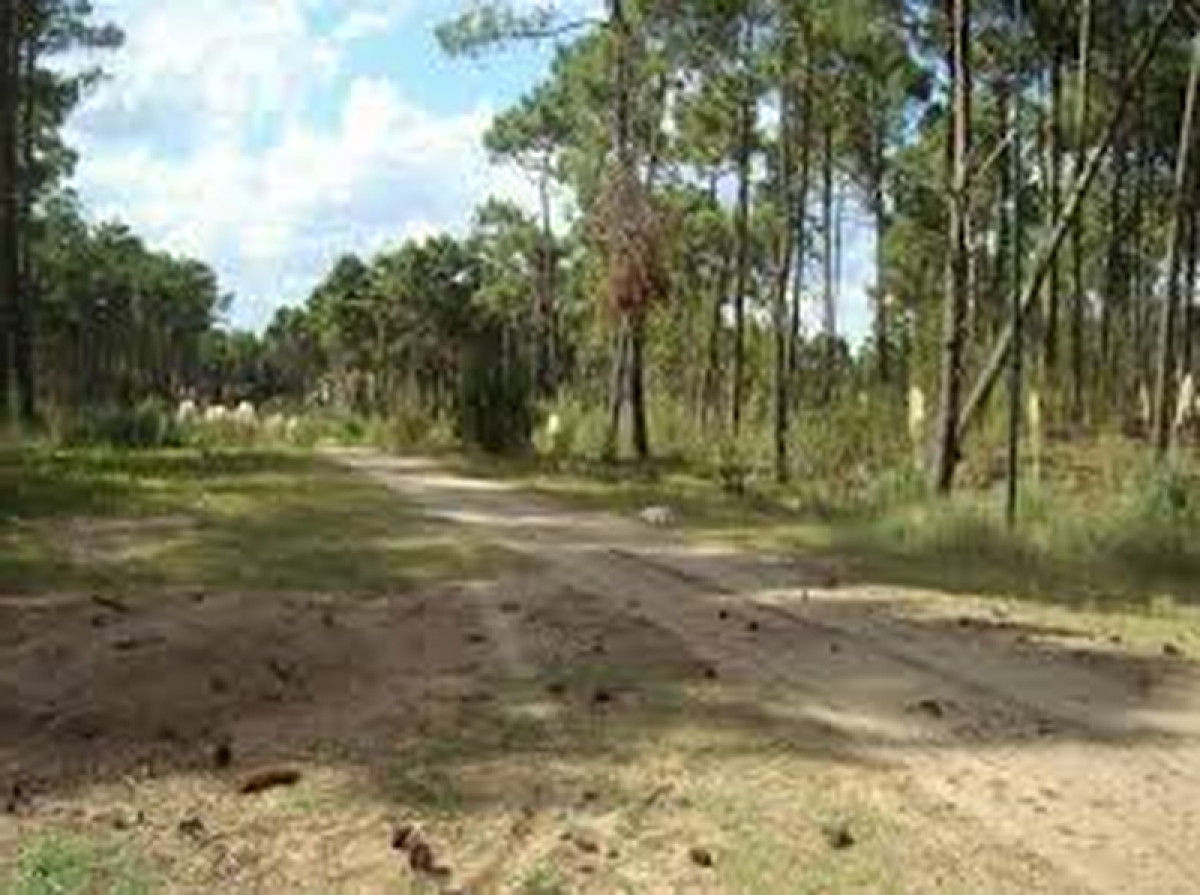  Land in Mar del Plata, Argentina No. 120491