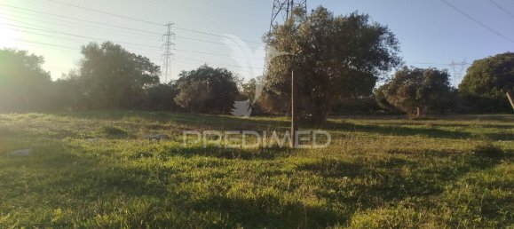 3 bedrooms House in Alvalade, Portugal No. 67658 15