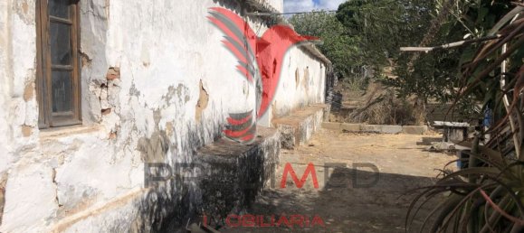 3 bedrooms House in Alvalade, Portugal No. 67658 6