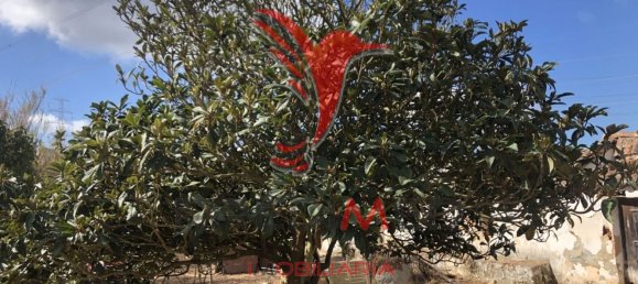 3 bedrooms House in Alvalade, Portugal No. 67658 3