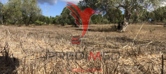 3 bedrooms House in Alvalade, Portugal No. 67658 11