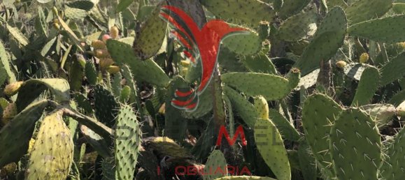 3 bedrooms House in Alvalade, Portugal No. 67658 8