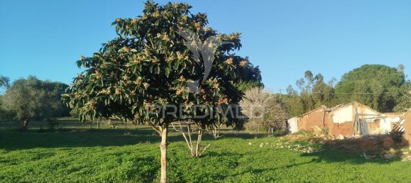 3 bedrooms House in Alvalade, Portugal No. 67658 19