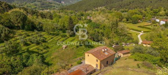 4 bedrooms Villa in Lucca, Italy No. 272674 32