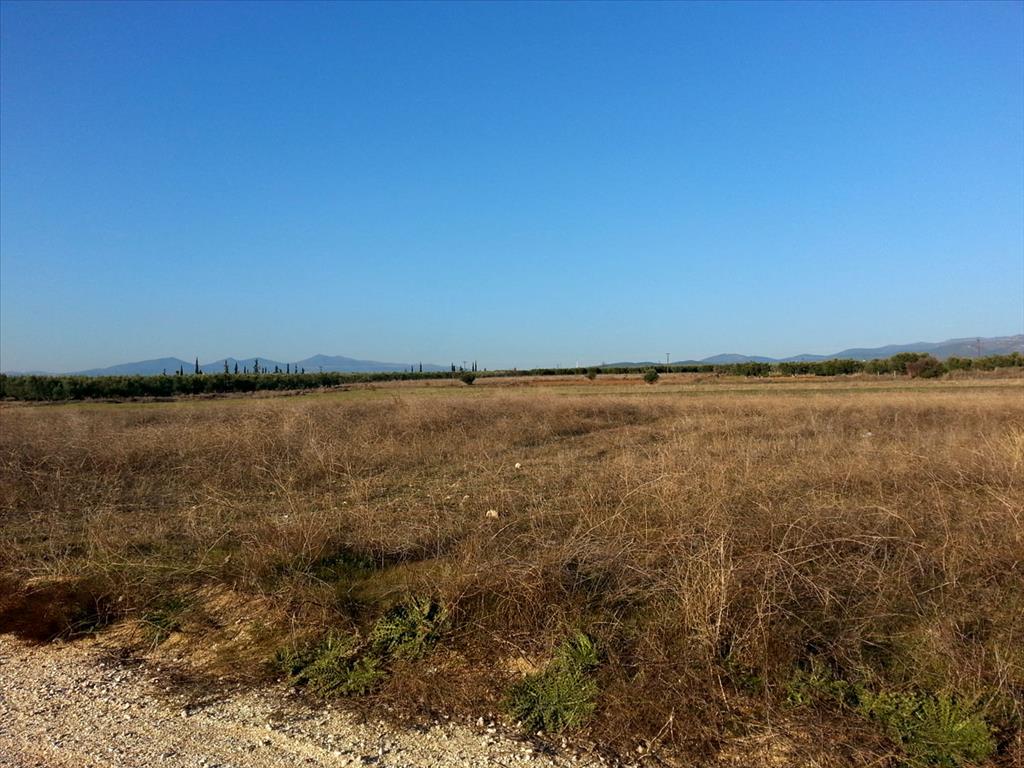 16600m² Hotel for sale in Chalkidiki, Central Macedonia, Macedonia and Thrace, Greece № 8053