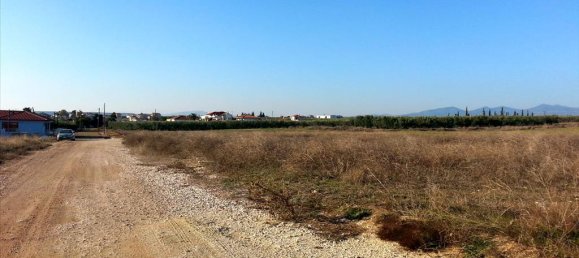 Hôtel à Chalkidiki, Greece 16600m² No. 8053 4